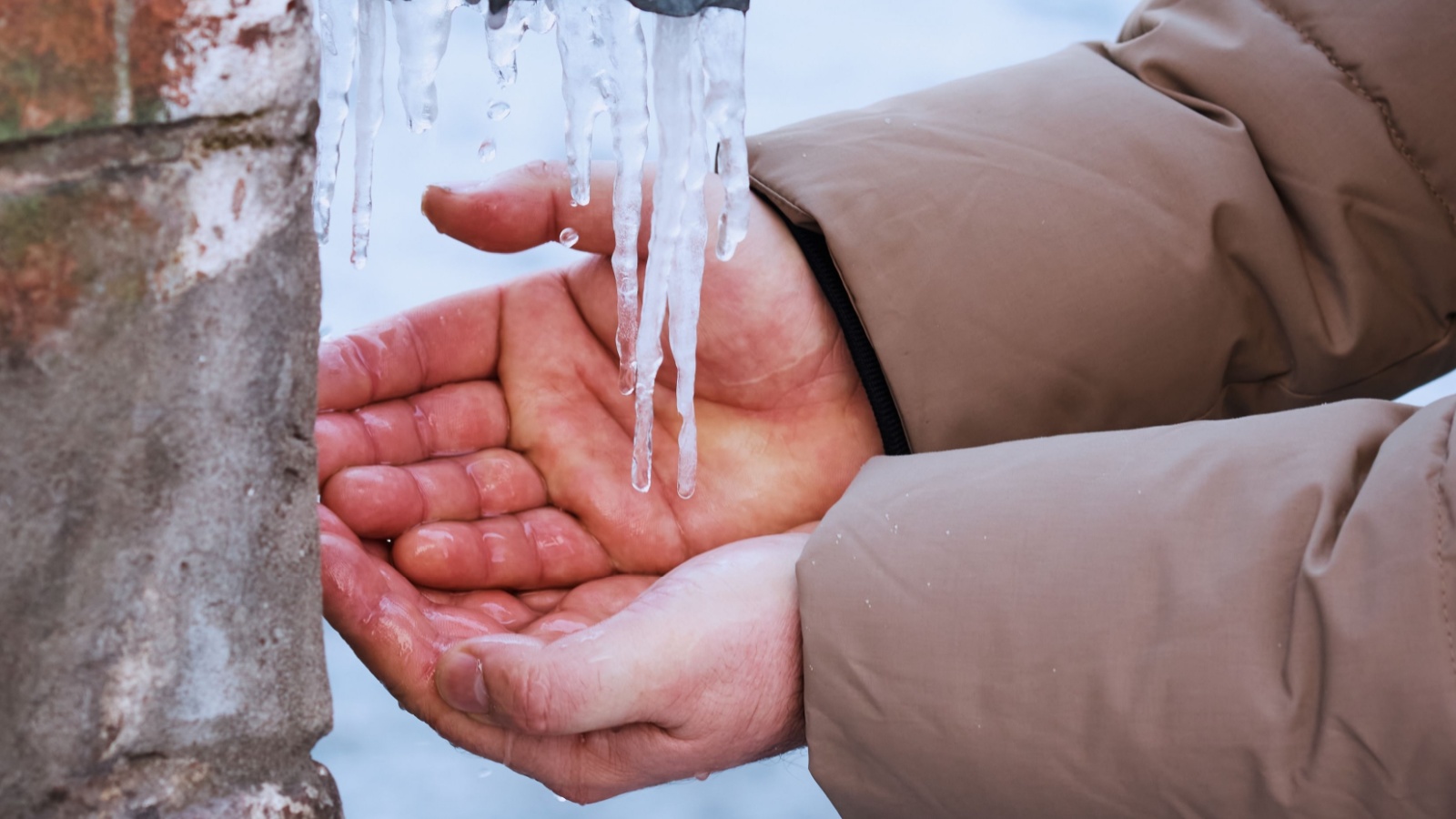 emergency winterization