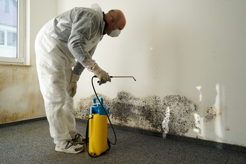 water damage restoration