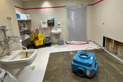 Emergencies that demand cleaning and deodor