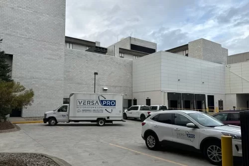 cleaning and deodorization