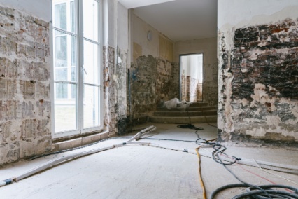 mold remediation birmingham