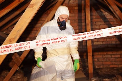 mold remediation novi 