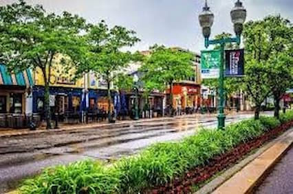 plymouth, michigan 