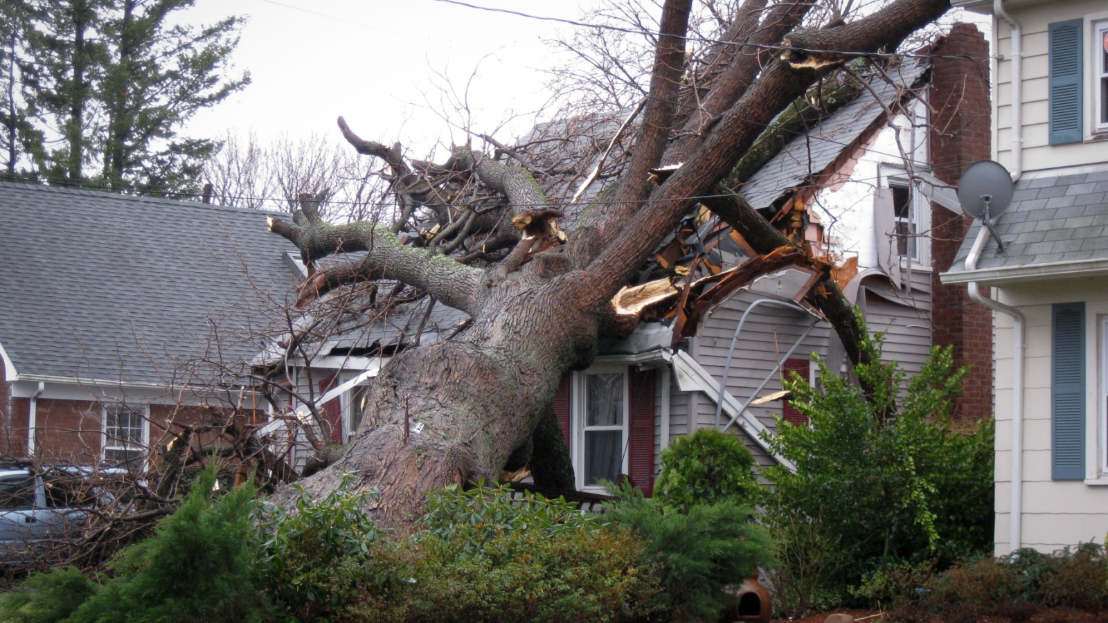storm damage restoration in Michigan