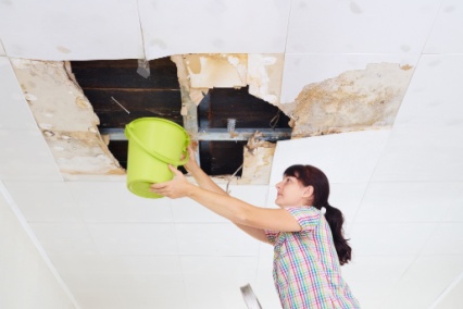 water damage restoration ann arbor