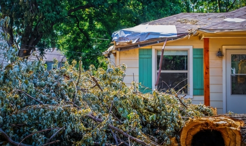 restoration company emergency response