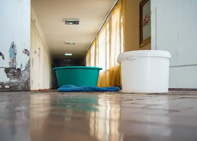 Signs of Appliance Water Leaks - VersaPro