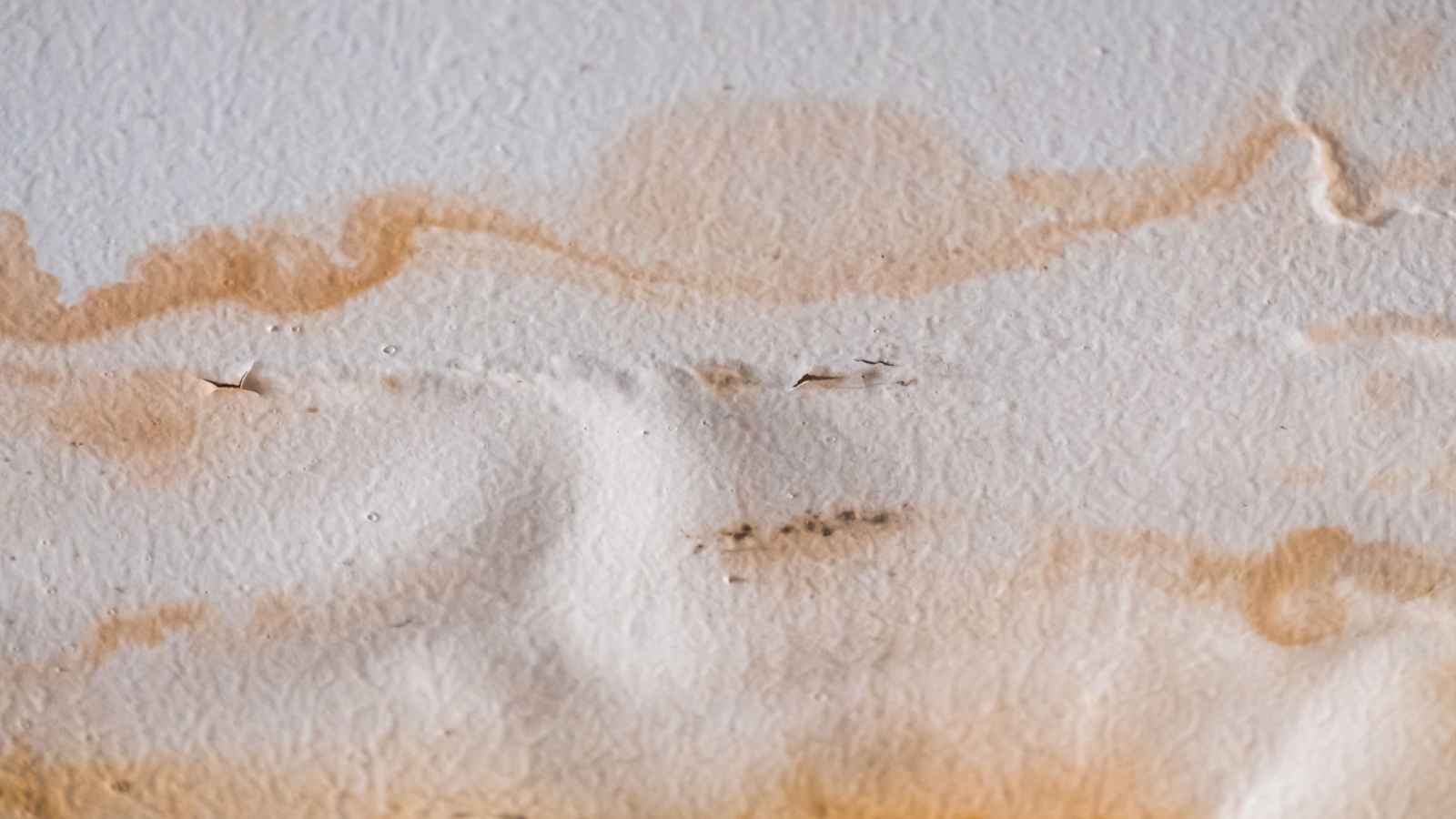 signs of water damage
