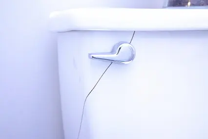 Common Causes of Toilet Leak Water Problems - VersaPro
