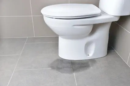 Services Provided by Your Michigan Toilet