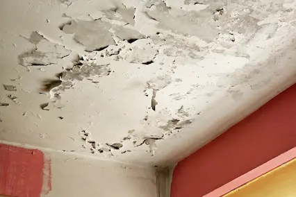 What Makes Toilet Leaks Dangerous in Michigan Homes - VersaPro